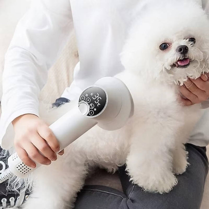 Dog groomed with a quiet pet hair dryer featuring a massage comb for comfortable drying.
