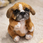 Pug Yellow