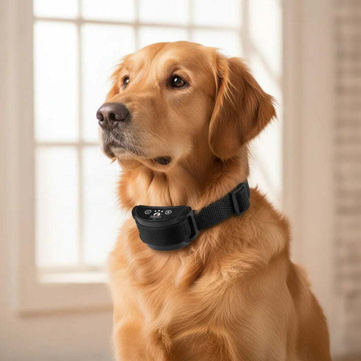Pet training aid: rechargeable vibration bark collar for dogs, featuring easy-adjust buckle.