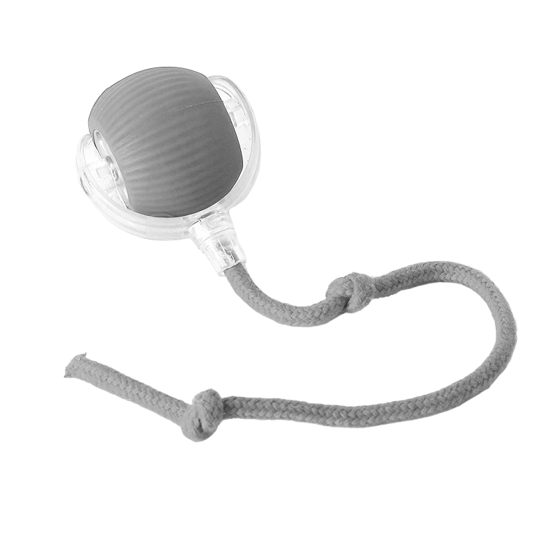 Two dogs playing together with a durable rechargeable interactive bouncing ball for shared fun.