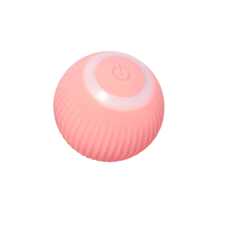 Give your active dog an outlet with a rechargeable interactive bouncing ball. Automatic and fun.