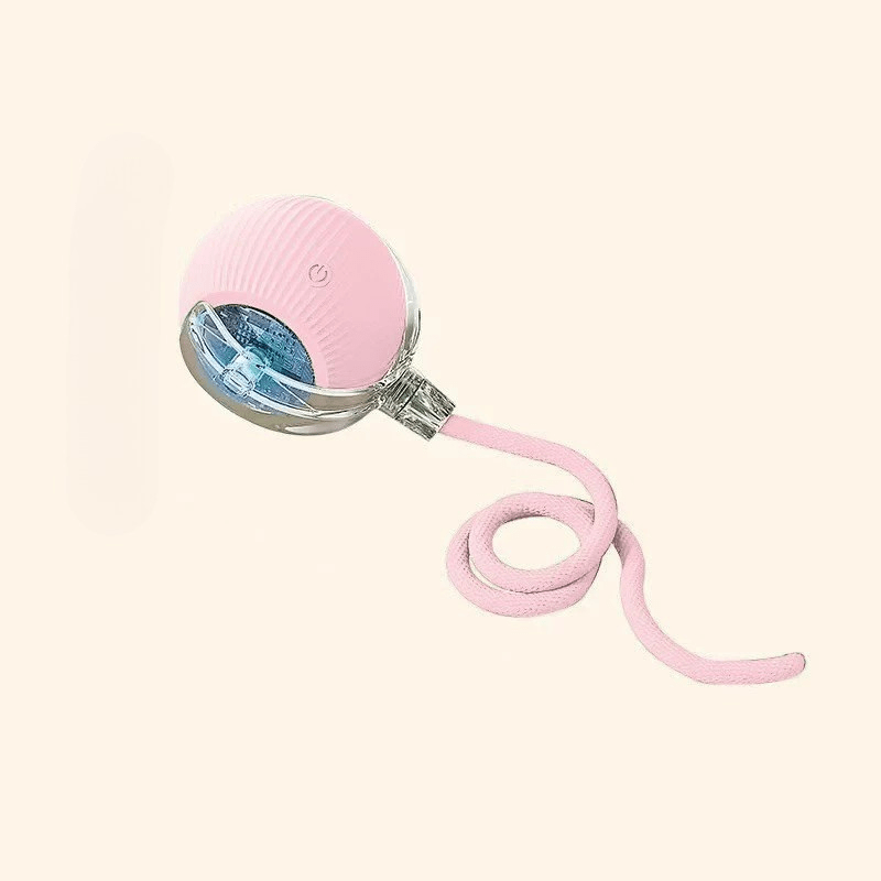 Owner's hand activating a rechargeable interactive dog ball, ready for pet play & enrichment.