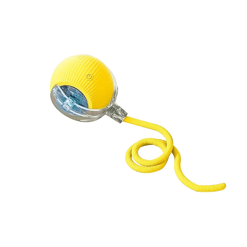 Promote healthy exercise with a rechargeable interactive dog ball. Automatic pet enrichment toy.