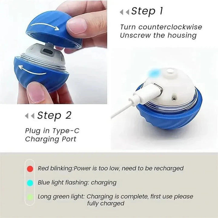 Mental stimulation for dogs with a rechargeable interactive bouncing ball. Automatic & engaging pet toy.