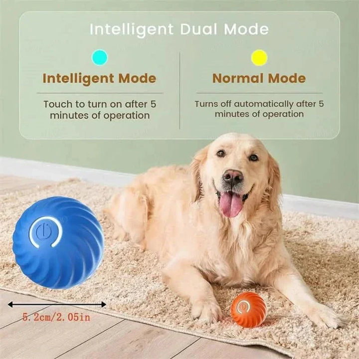 Family dog enjoying a rechargeable interactive bouncing ball, an automatic toy for endless fun.