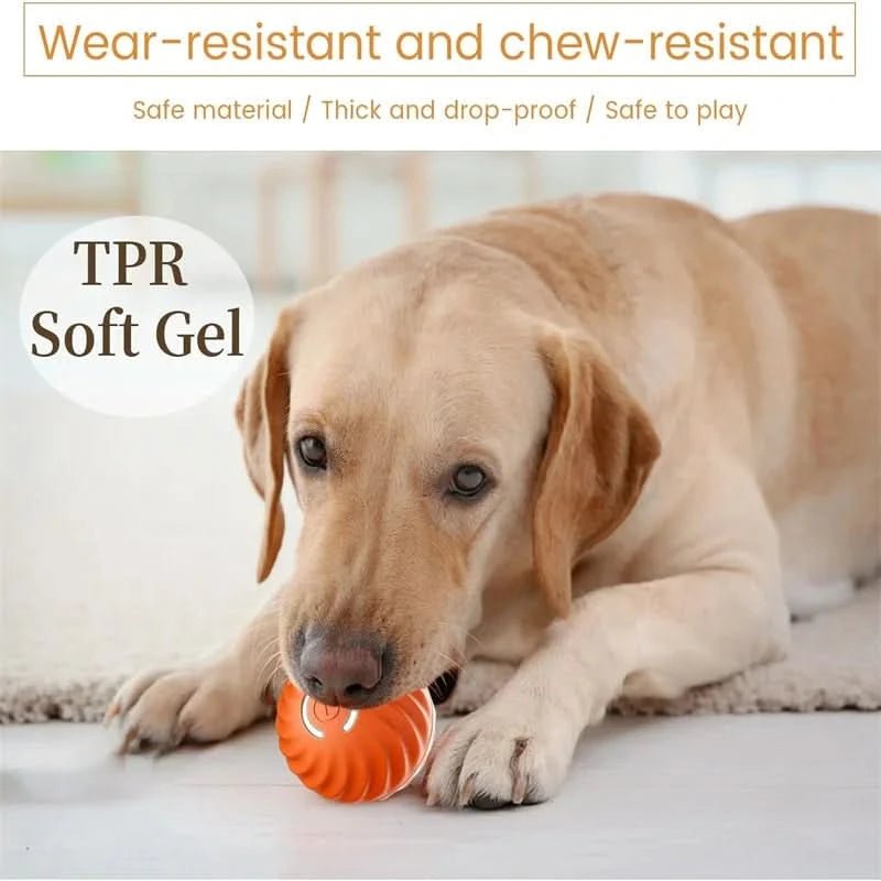 Rechargeable interactive dog ball for all active pets. Automatic bouncing for enrichment & entertainment.