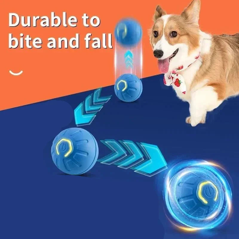 Dynamic rechargeable interactive dog ball in motion, captivating pets with automatic bouncing action.