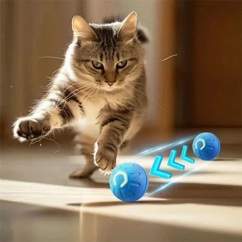 Happy dog playing with a blue rechargeable interactive bouncing ball. Automatic pet enrichment toy.