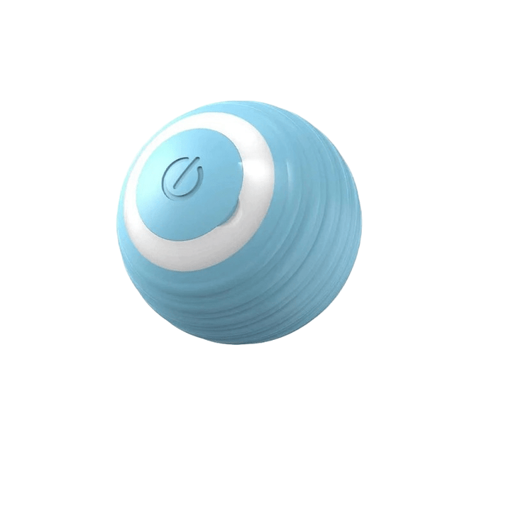 Cute puppy playing with a small rechargeable interactive bouncing ball, perfect for puppy enrichment.