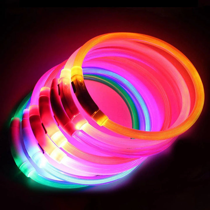 High visibility LED dog collar, adjustable strap, perfect for night walking & pet safety