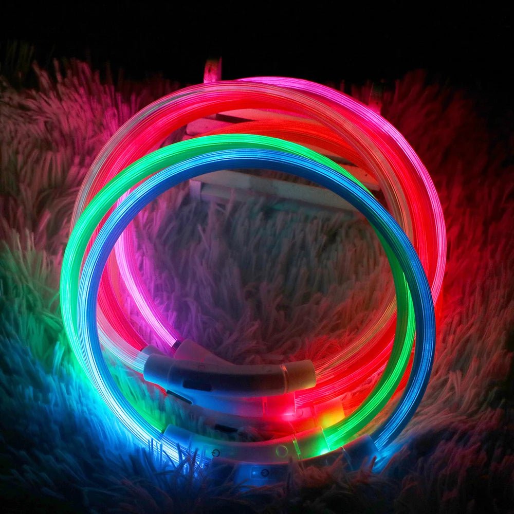 Bright LED dog safety collar, USB rechargeable, provides high visibility for night walks