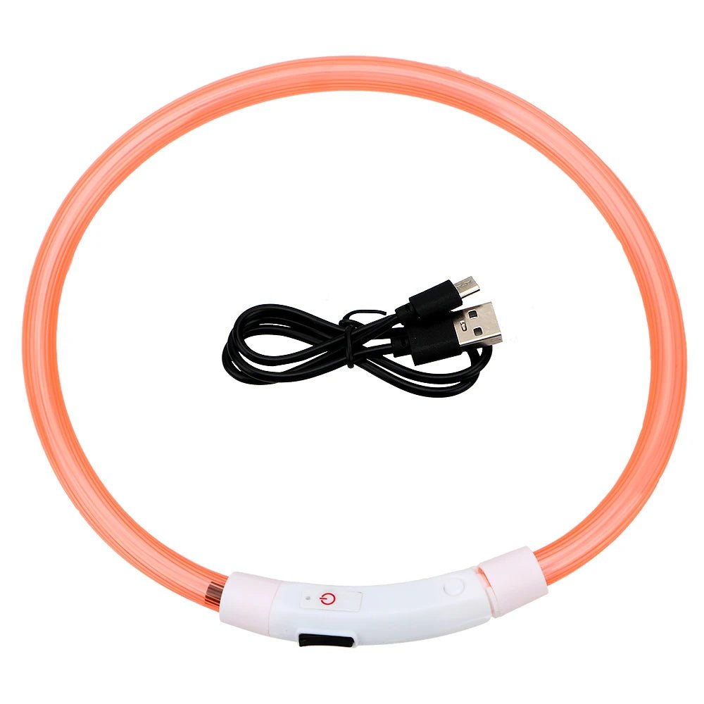 Waterproof LED dog collar with USB charging, ideal for pet owners walking at night