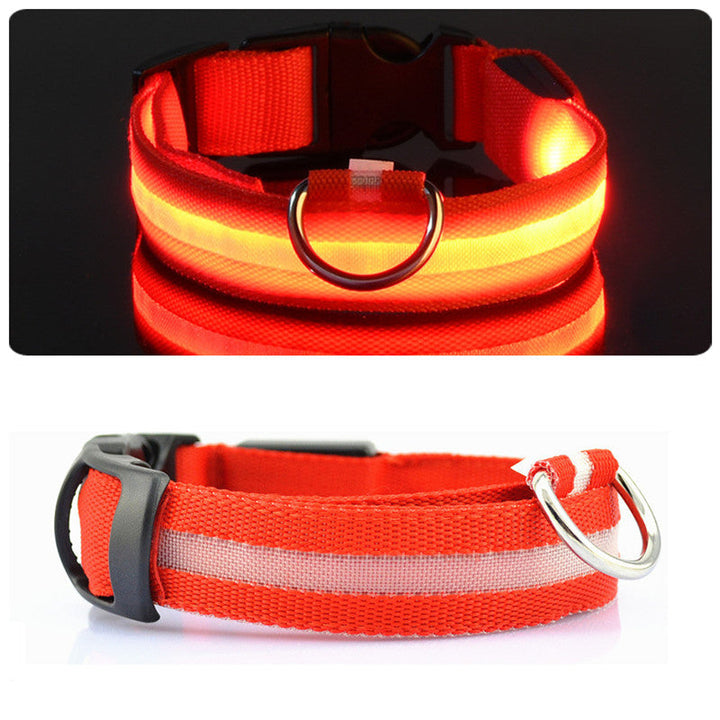 Rechargeable LED dog collar glowing brightly for night safety and visibility on a dog walk.