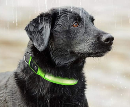 Water-resistant rechargeable LED dog collar, perfect for night walks and pet safety in all conditions.