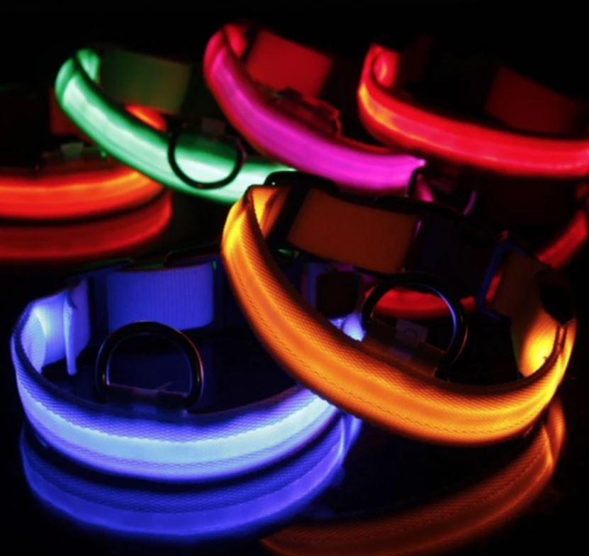 Adjustable rechargeable LED dog collar with USB charging port, ensuring high visibility at night.