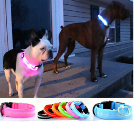Red rechargeable LED dog collar laid flat, highlighting its durable material and high visibility design.