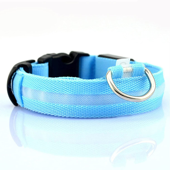 Rechargeable LED dog safety collar for night walks, water-resistant & durable.