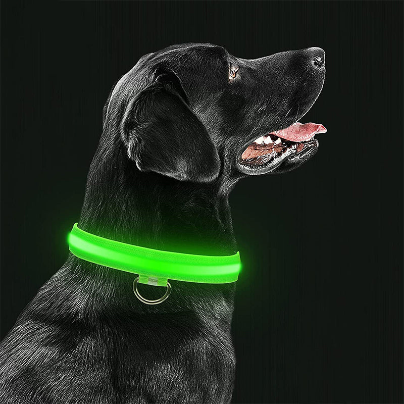Bright LED dog collar for enhanced visibility during nighttime pet walks, soft & safe.