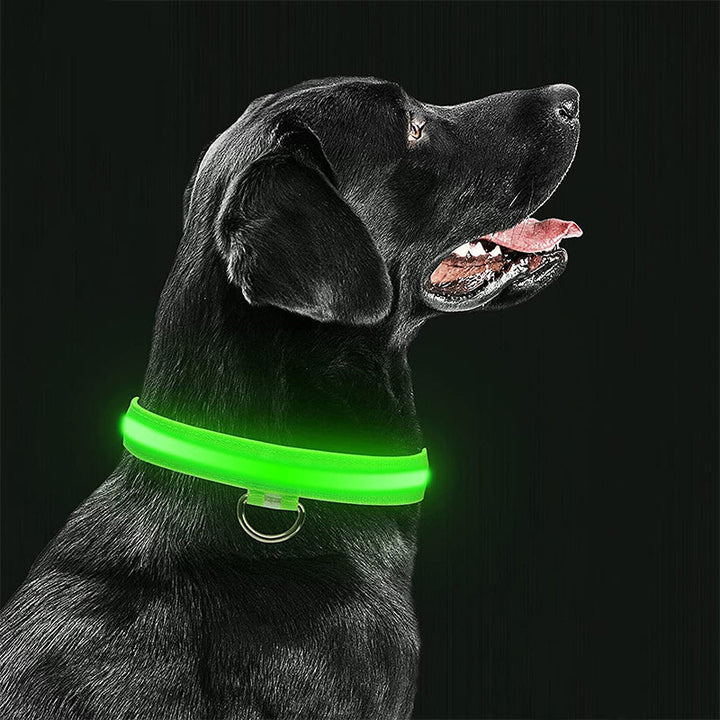 Bright LED dog collar for enhanced visibility during nighttime pet walks, soft & safe.