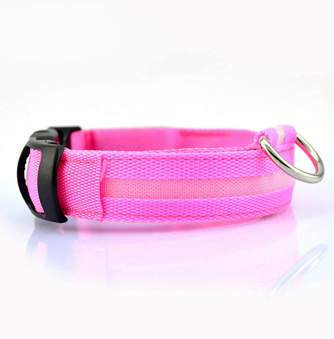 Soft LED rechargeable dog collar for comfortable wear, perfect for dark evening walks.