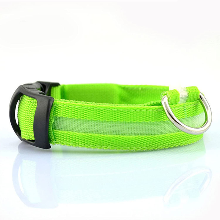 Water-resistant LED dog safety collar, offering superior visibility and durability for pets.