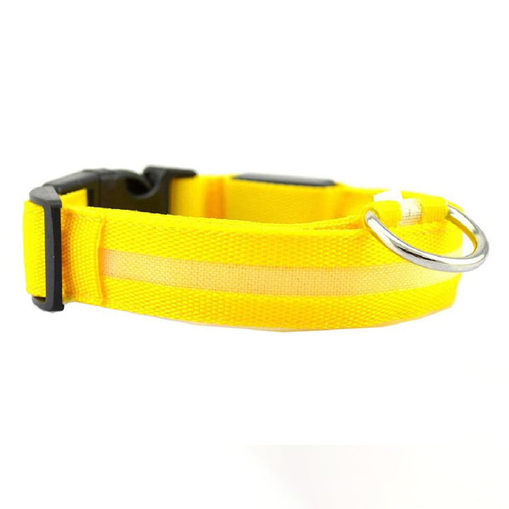 Rechargeable LED dog collar, a key pet accessory for night time safety and visibility.
