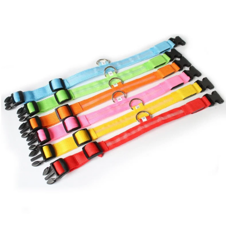 Durable LED light-up dog collar for night safety, rechargeable and essential pet gear for walks.