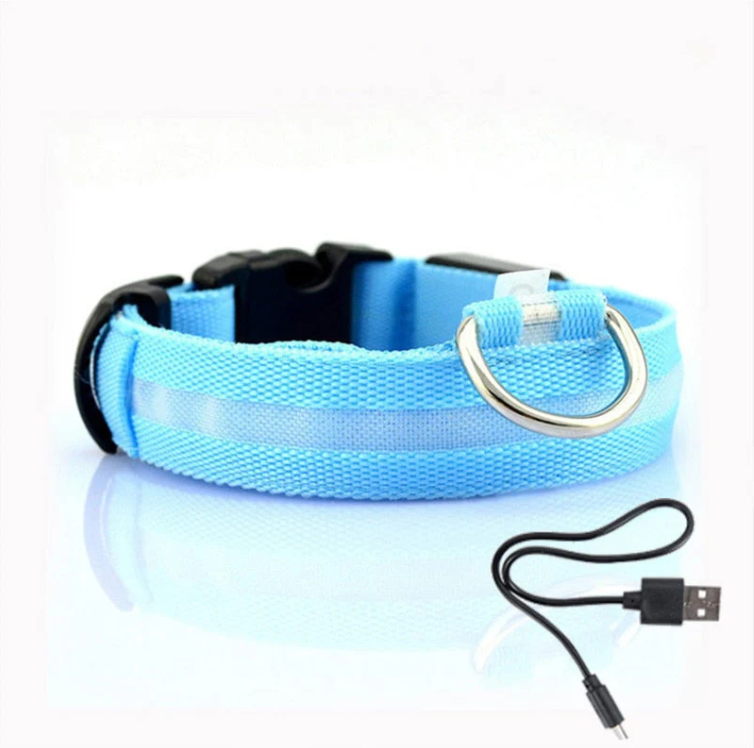 Reflective LED dogcollar for enhanced visibility during night walks, a top pet safety accessory.