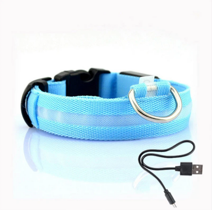 Reflective LED dogcollar for enhanced visibility during night walks, a top pet safety accessory.