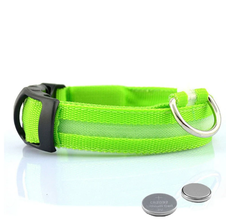 Visible LED light-up dog collar ensures pet safety during night walks and adds a touch of dog fashion.