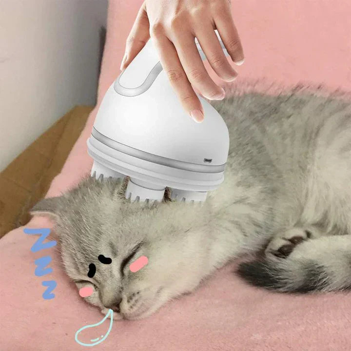 Cat being gently massaged with a pet electric head massager, a rechargeable grooming tool