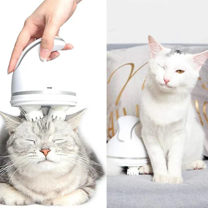 Pet relaxation with electric head massager, a grooming tool for animal care and stress management