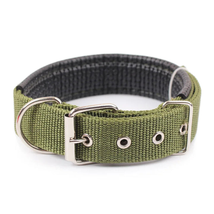 Red adjustable dog breakaway collar with reflective stitching for safety and comfort