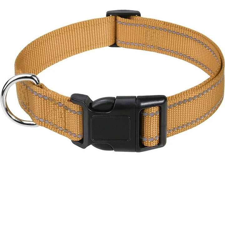 Teal colorful adjustable dog collar, comfortable and lightweight pet supply, secure everyday wear