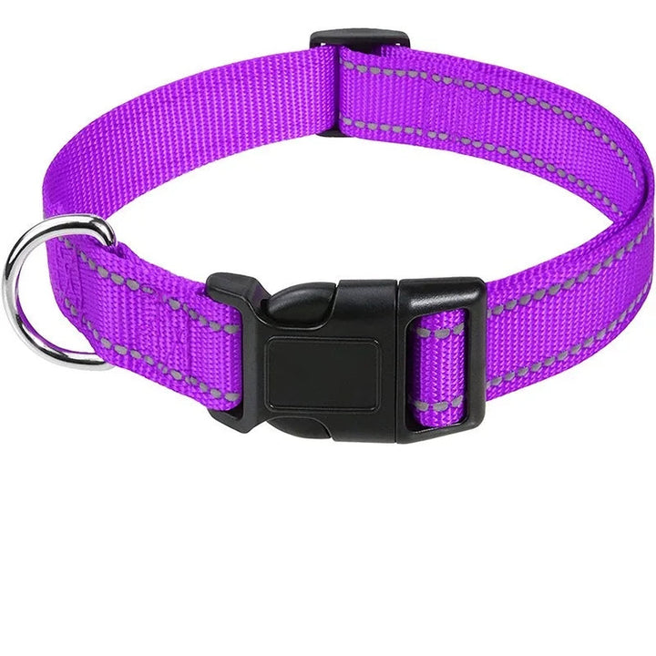 Grey adjustable dog collar, secure & durable for everyday use, pet supplies for all breeds