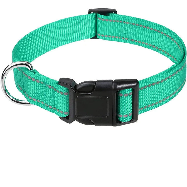 Reflective adjustable dog collar, safe and lightweight pet accessory for all breeds, everyday use