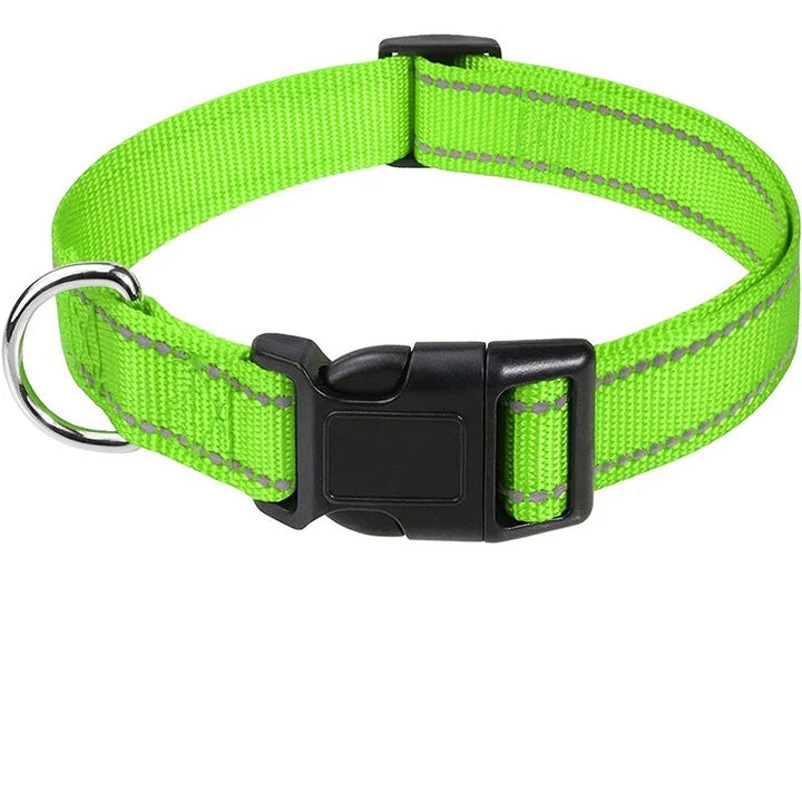 Orange adjustable pet collar, secure and stylish for all breed dogs, pet supplies