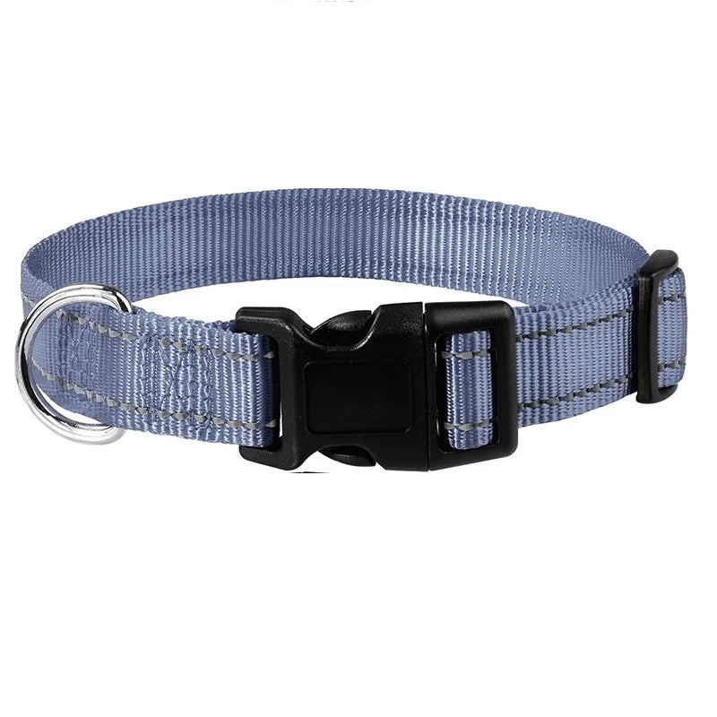 Purple dog collar, comfortable & durable for daily wear, suitable for all breed sizes