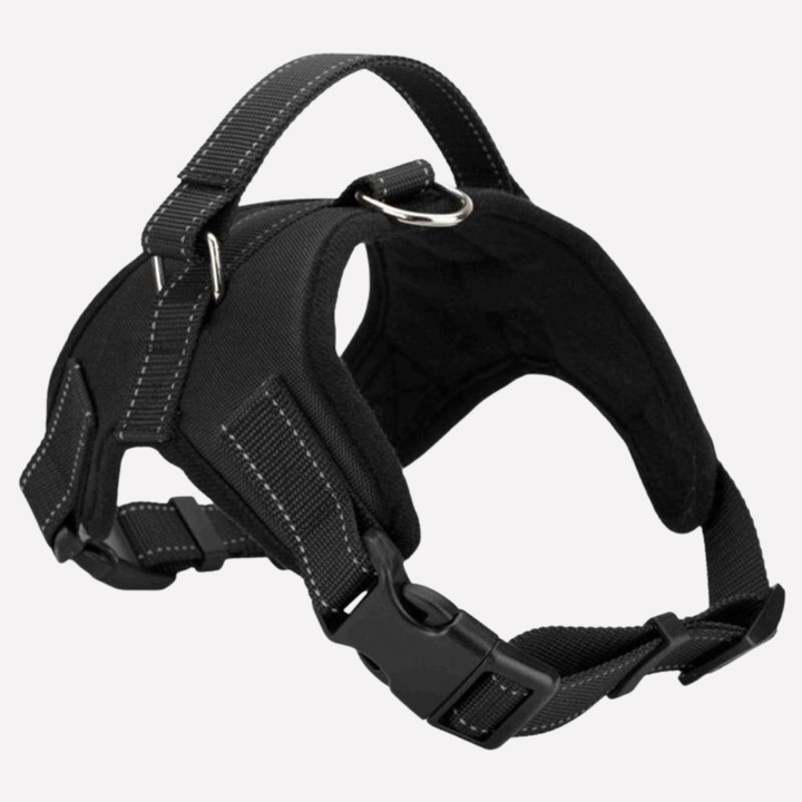 Red adjustable dog harness and matching lead set for daily walks, front view on a white background