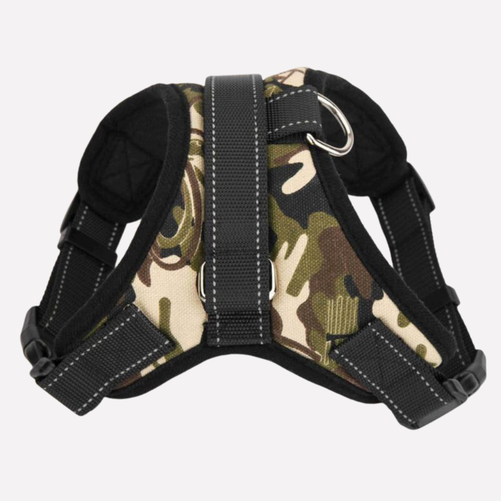Close-up of black vest dog harness with strong pet lead, ideal for outdoor dog walking
