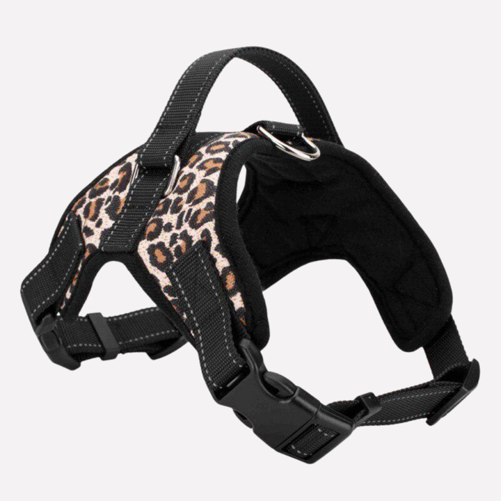 Dog harness and lead set in blue, showing adjustable straps and durable clasps for pet comfort
