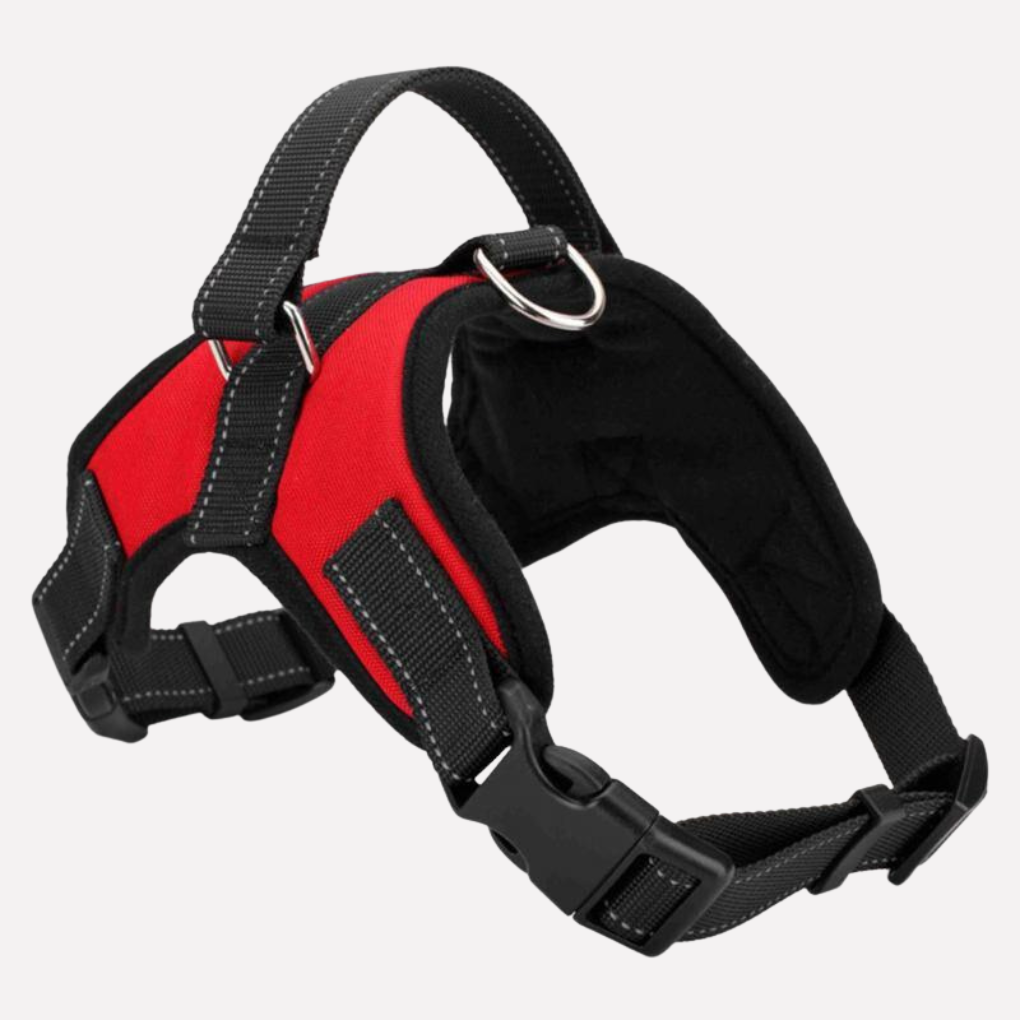 Beige dog harness and lead set displayed, highlighting the quality dog walking accessories