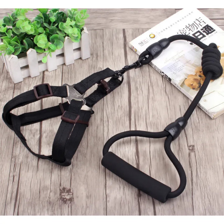 Detail of dog harness padding for comfort, showcasing the pet accessory's quality