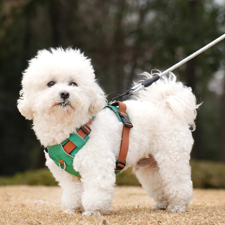 Close-up of a waterproof dog harness with reflective stitching, showcasing adjustable straps for a comfortable fit.