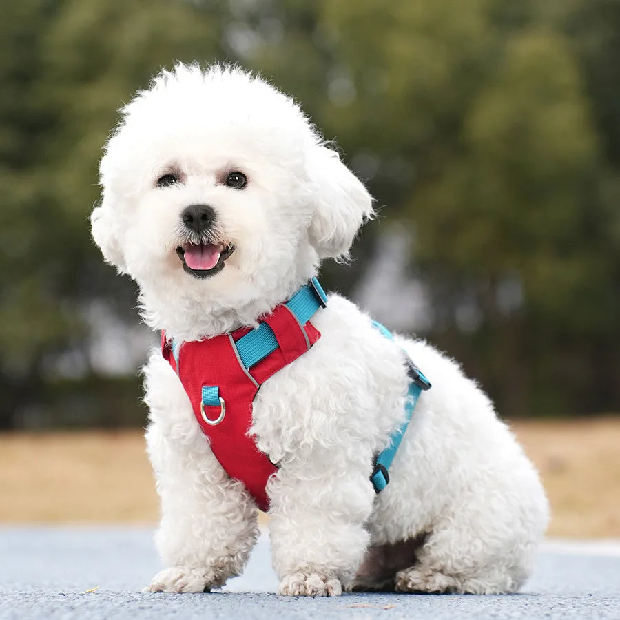 Packaging of an all-season dog vest harness, emphasizing its adjustability and reflective design for various breeds.
