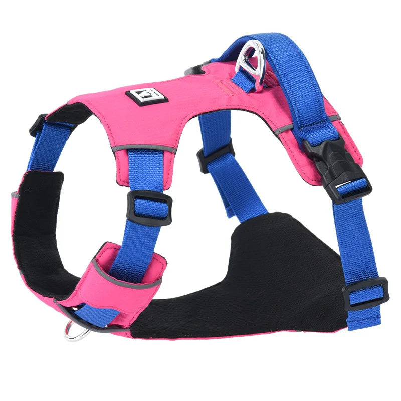 Dog walking safely at dusk wearing a reflective and adjustable all-breeds harness, perfect for outdoor adventures.