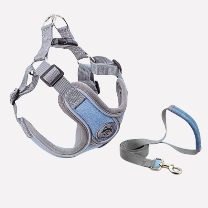 Close-up of black pet vest harness with durable clips and leash attachment for dog walking