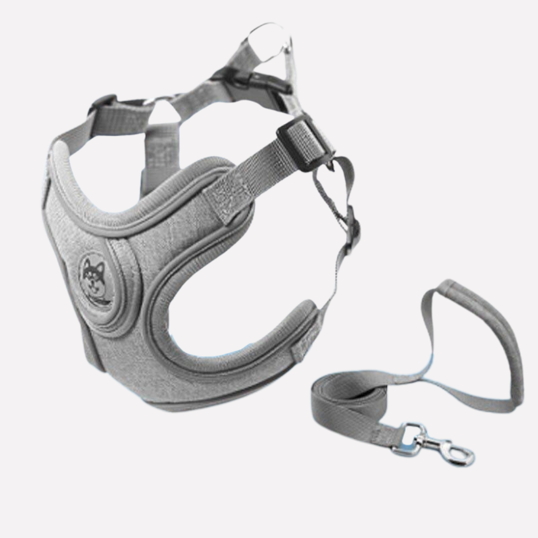 Blue adjustable dog harness and leash set, perfect for small to large dogs during outdoor walks