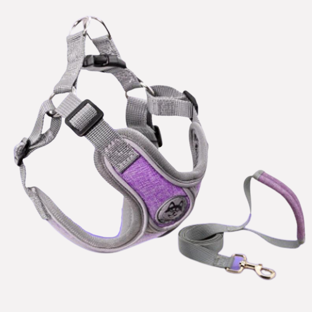 Reflective dog vest harness in green with comfortable fit, paired with a matching leash for pet walking