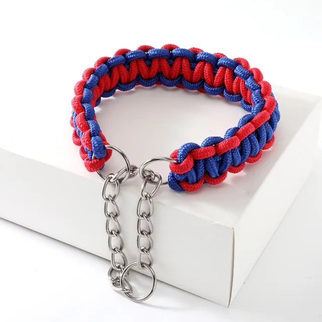 Assortment of colorful adjustable nylon dog collars, durable for training and daily pet walks.